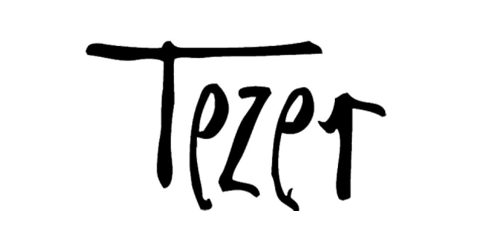 Tezer Logo